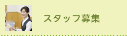 スタッフ募集